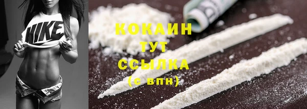 дмт Осинники