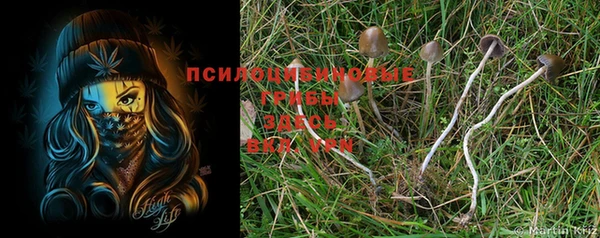 дмт Осинники