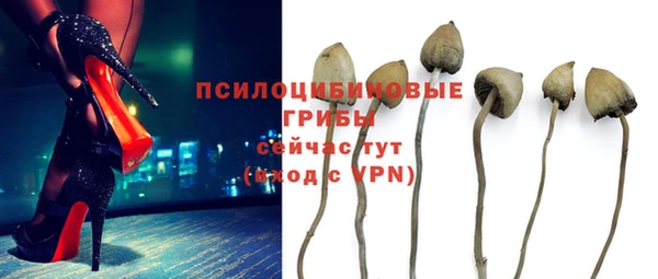 дмт Осинники