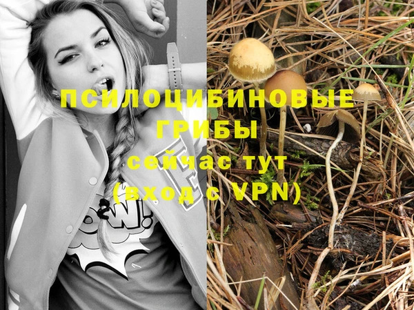 герыч Нязепетровск
