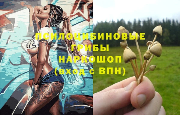 дмт Осинники