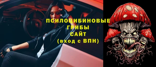 дмт Осинники